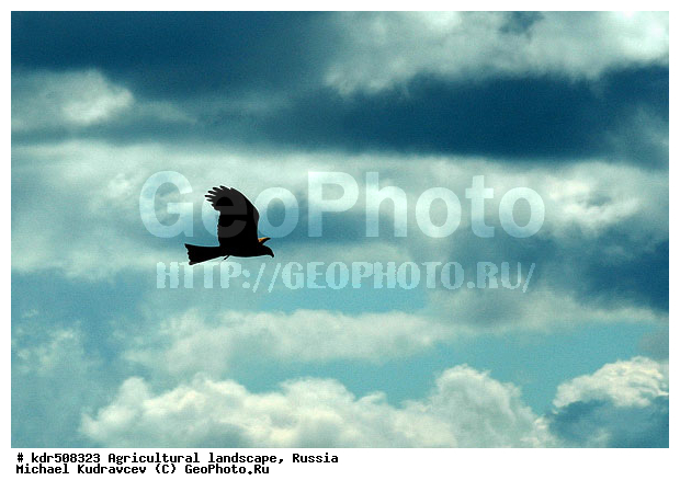 �����, ������, ����, ������, �����, ����, ������