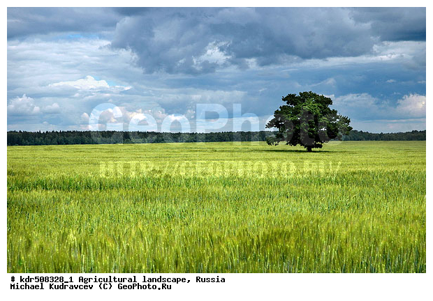 ������, ���, �������, ��������, ��������, ����, ������, ����, �������� ���������, �������������������� ������, �������, ������� ��������, �������������, ��, ����, ������, ������