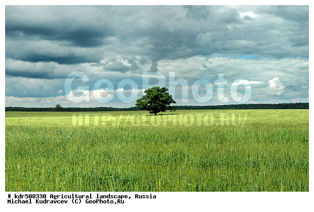 ������, ���, �������, ��������, ��������, ����, ������, ����, �������� ���������, �������������������� ������, �������, ������� ��������, �������������, ��, ����, ������, ������