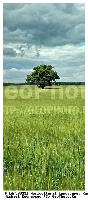 ������, ���, �������, ��������, ��������, ����, ������, ��������, ����, �������� ���������, �������������������� ������, �������, ������� ��������, �������������, ��, ����, ������, ������