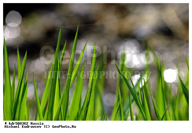 �������, �����, �������, ���������, ��������, ��������, ����, ������, �����, �������, ���, ��������, �����