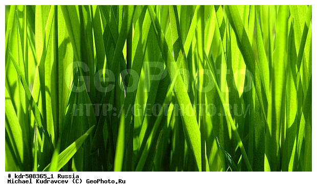 �������, �����, �������, ���������, ��������, ��������, ����, ������, �����, �������, ���, ��������, �����