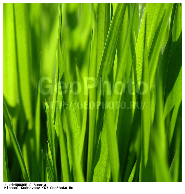 �������, �������, �����, �������, ���������, ��������, ��������, ����, ������, �����, �������, ���, ��������, �����