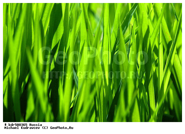 �������, �����, �������, ���������, ��������, ��������, ����, ������, �����, �������, ���, ��������, �����