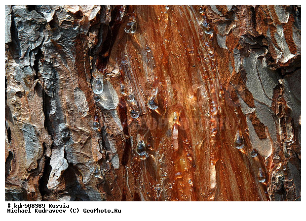 ���, ������, �����, �����, ����, �����, ��������, �����, �����, �������, ����, �������, ���, ��������, �������