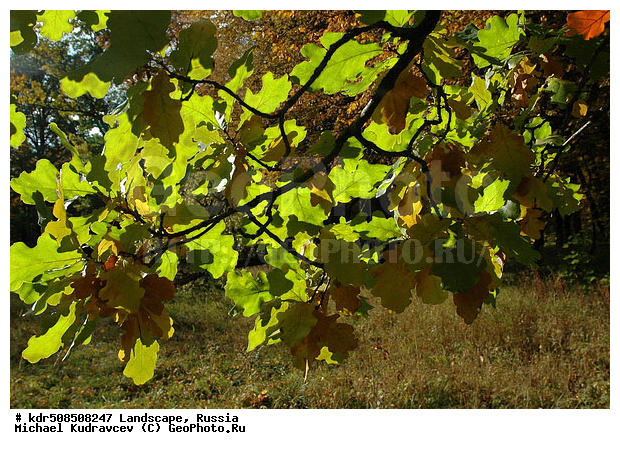 �������, ������� ������, ���, ������� ������, �������, ����, ������, ������, ���������, �����, ���