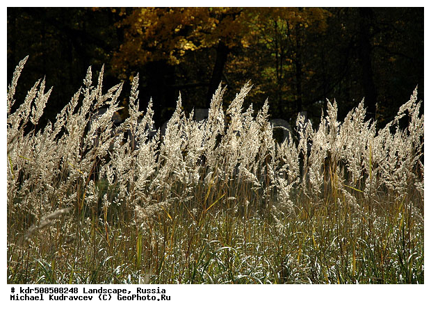 ������, �������, ������� ������, �������, ��������, ���, ������, ���������, �����, ������, ����, ����, ����, �����