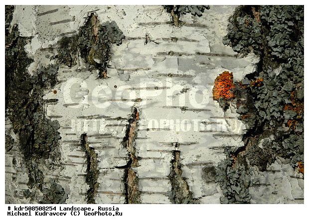 �������, ������� ������, ������, ��������� ����, ������, ����, ��������, �����, �������