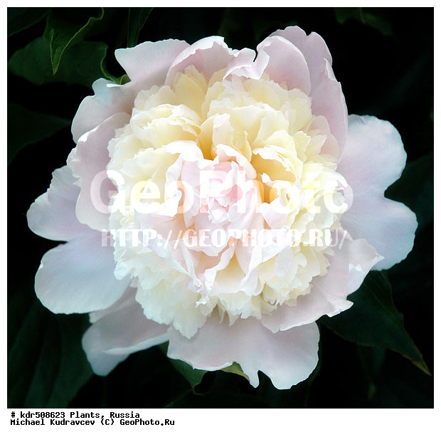 ��������, ��������, �����, ������, ����, ��������, ��������, �������, ���, ��������, ������, �����