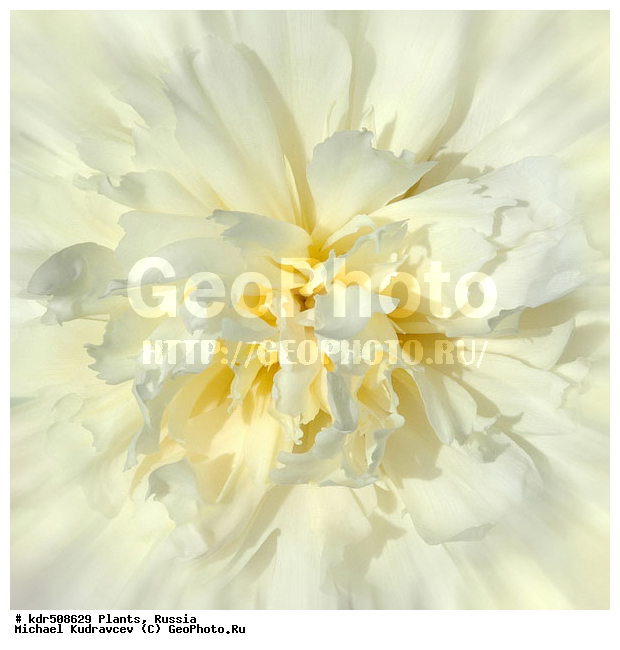 ��������, ��������, �����, ������, ����, ��������, ��������, �������, ���, ��������, ������, �����