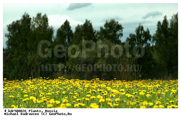 ������, ���, ���, ���������, ����������, ������, ����, ��������, �����