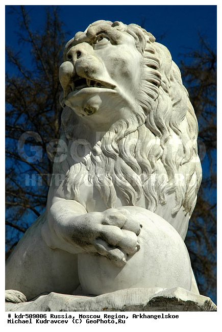 �������������, �������, �����, ����������, ���, �����, ����������, ������, ������� �������������, ���