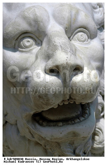 �������������, �������, �����, �����, ����������, ���, �����, �����, �����, ����������, ������, ������� �������������