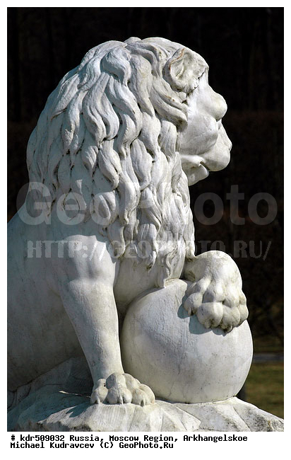 �������������, �������, �����, ����������, ���, �����, ����������, ������, ������� �������������, ���