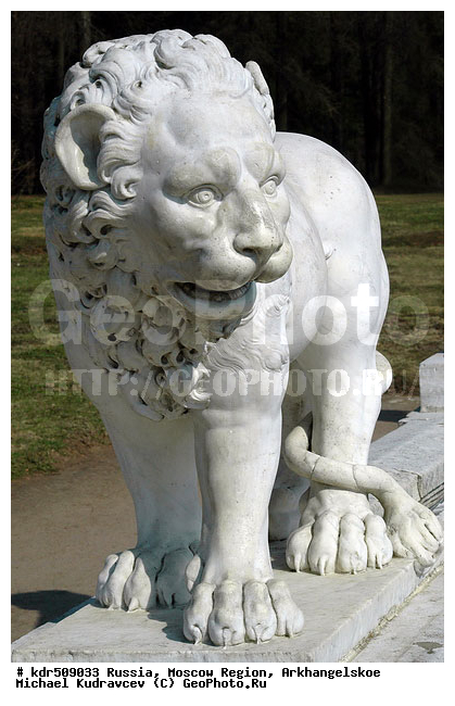 �������������, �������, �����, ����������, ���, �����, ����������, ������, ������� �������������