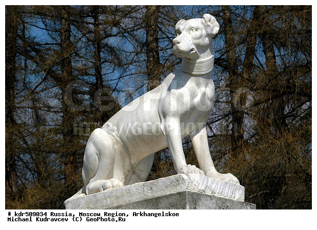 �������������, �������, �����, ����������, �����, ����������, ������, ������, ������� �������������