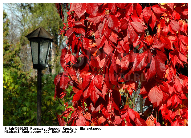 ���������� �������, �������, �����������, ��������, ���, ������, �������, ����, ������, ������, ����������, �����, �������, �����, ����, ���������, ������ �� ������, ������� �����, �������, ������� ���������, ������