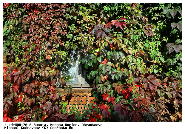 ���������� �������, �������, �����������, ��������, ���, ������, �������, ����, ������, ������, ����������, �����, ����, �������, �����, ����, ���������, ������ �� ������, ������� �����, �����, �������, ������� ���������