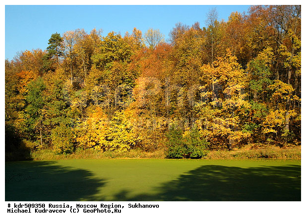 ���������� �������, ��������, ������� ��������, ������, �������, ������, �������, ������� �����, �����, ����, ������, ����, �����, ����, �������