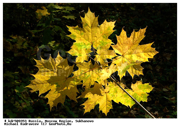 ���������� �������, ��������, ������� ��������, ������, ������� �����, ����, �������� ������, ������ �����, �����, �������