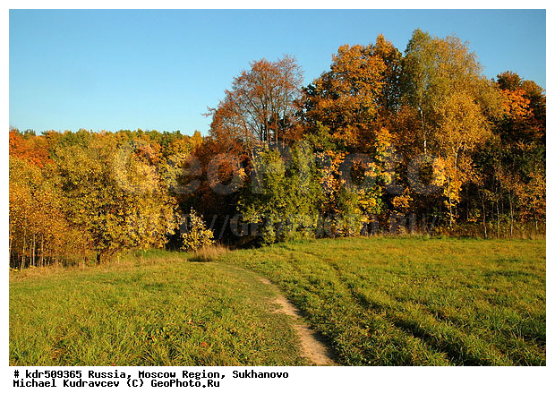 ���������� �������, ��������, ������� ��������, ������, �������, ������� �����, �����, ���, �����, ����, ������, ����, �������