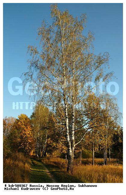 ���������� �������, ��������, ������� ��������, ������, ������, ������� �����, �����, ����, ��������� ����, �������