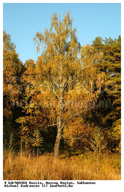 ���������� �������, ��������, ������� ��������, ������, ������, ������� �����, �����, ����, ��������� ����, �������