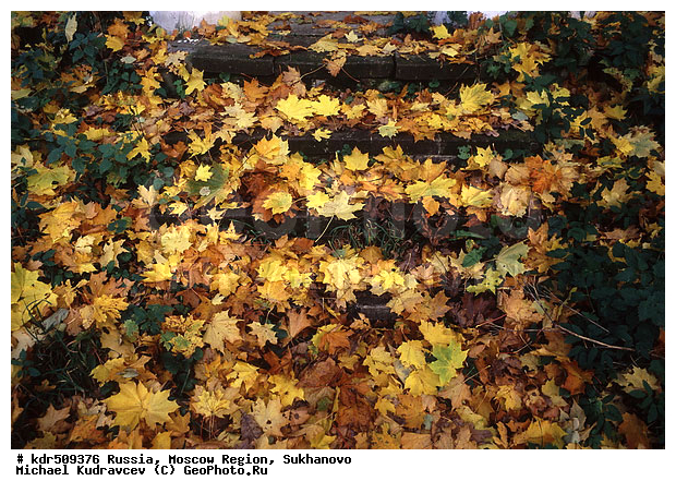 ���������� �������, ��������, ������� ��������, ������, ������� �����, ����, �������� ������, ��������, ������ �����, ������� ������, ����, �����, �������, �������, �������