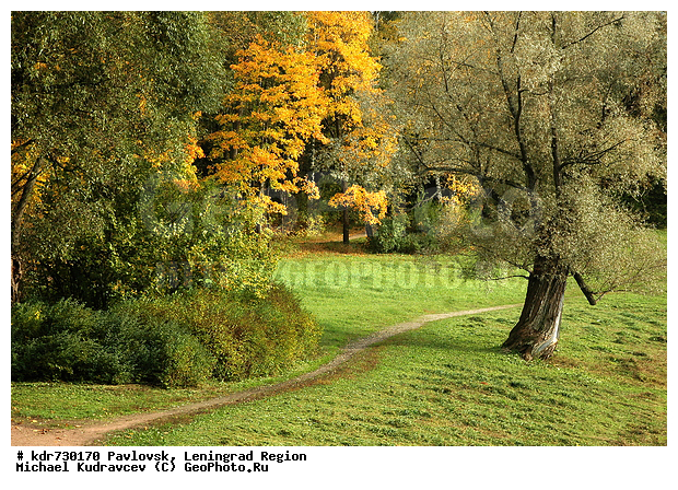 ����� ��������, ������������� �������