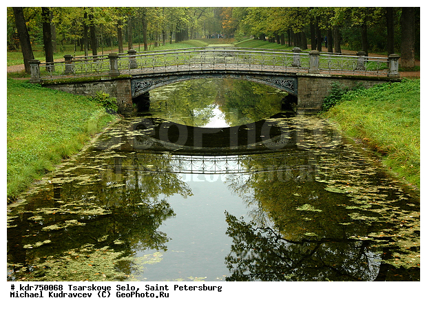 ������� ����