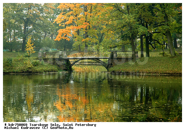 ������� ����