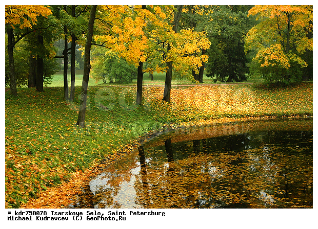 ������� ����