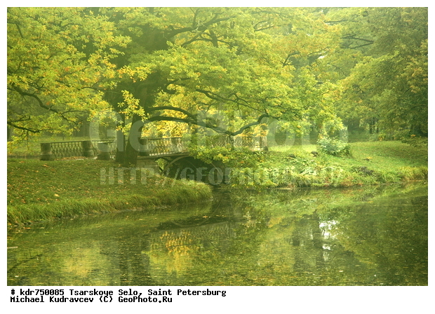 ������� ����