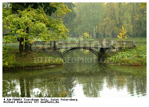 ������� ����