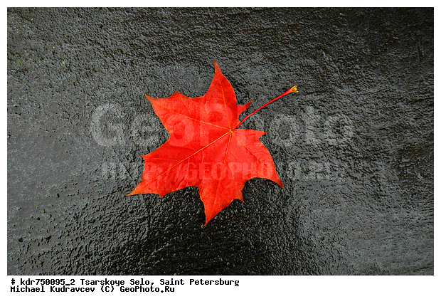 ������� ����