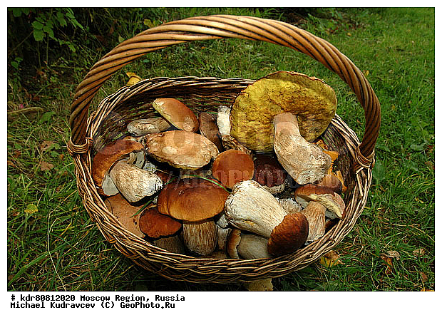 ����, �������, �������, ����, �������, ���������, ����, ��������, ���������