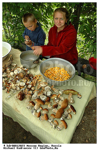 ����, �������, �������, ����, �������, ���������, ����, ��������, ���������