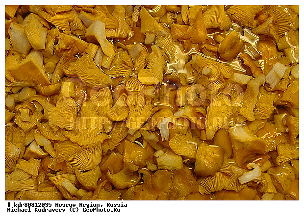 ����, �������, �������, ����, �������, ���������, ����, ��������, ���������