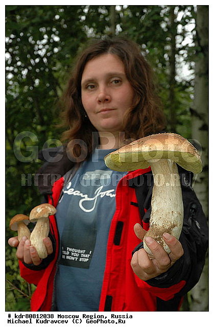 ����, �������, �������, ����, �������, ���������, ����, ��������, ���������