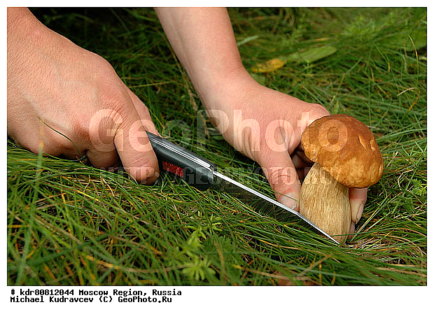 ����, �������, �������, ����, �������, ���������, ����, ��������, ���������