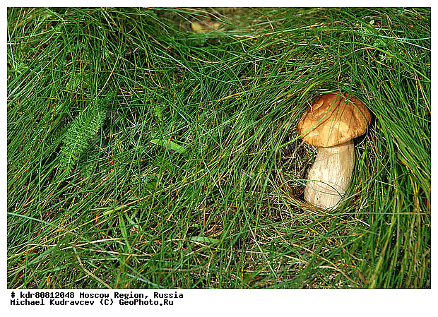 ����, �������, �������, ����, �������, ���������, ����, ��������, ���������