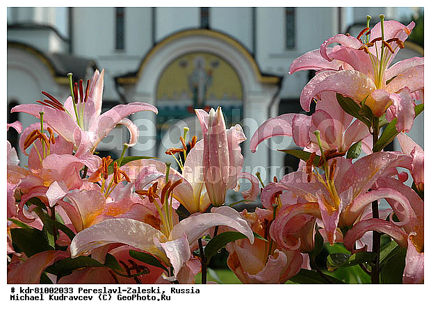 ���������� ���������, ���������� �����, ����������, ����������-���������, ����������� ���������, ������, ����������� �������, �����������, ����� ����������-���������, �����, ������� ������ ������, �����, ����, �����, �����������, �������, �����, ����, ������������, �����, �������