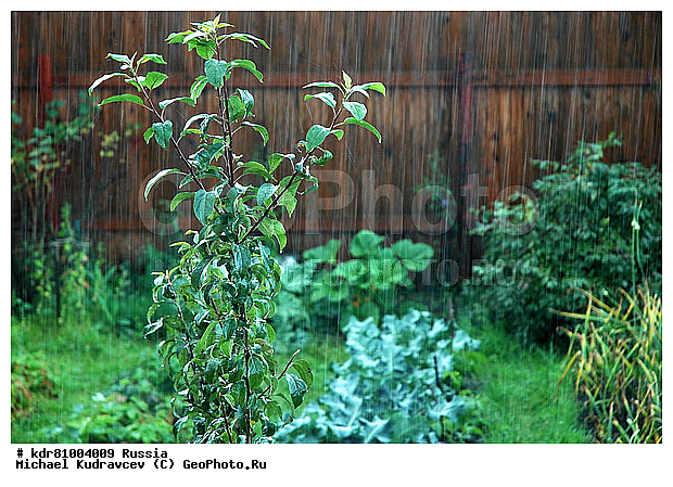 ������, ������, ����, �����, ����, ������ �������, �����, �����, ����, ������, �����, ������������ ���������, ���, ������� �������