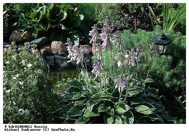 ������, ������, ����, ������ �������, ������, ������, ����������� ������, ����, ������������ ���������, ����, ������, ���, ������� �������, �������, ������, �����