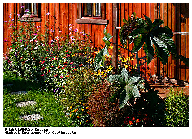 ������, ��������, ����, ������ �������, ������, �������, ������, ����������� ������, ����, ������������ �����������, ���, ������� �������