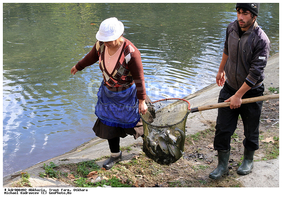 �������, ��������� ���������, ������, ������, ����