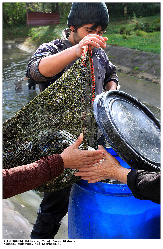 �������, ��������� ���������, ������, ������, ����