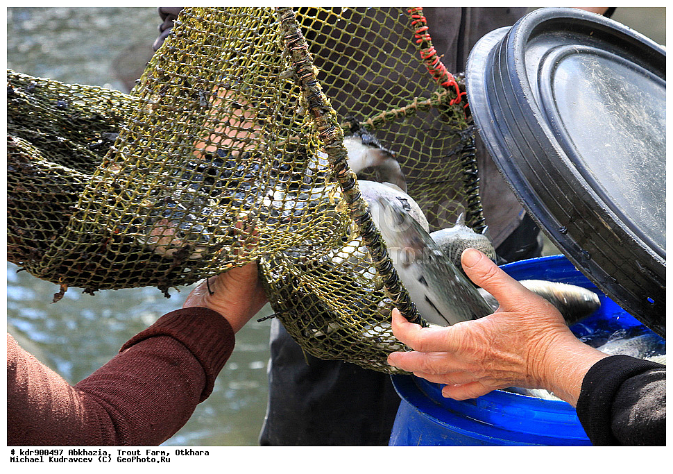 �������, ��������� ���������, ������, ������, ����