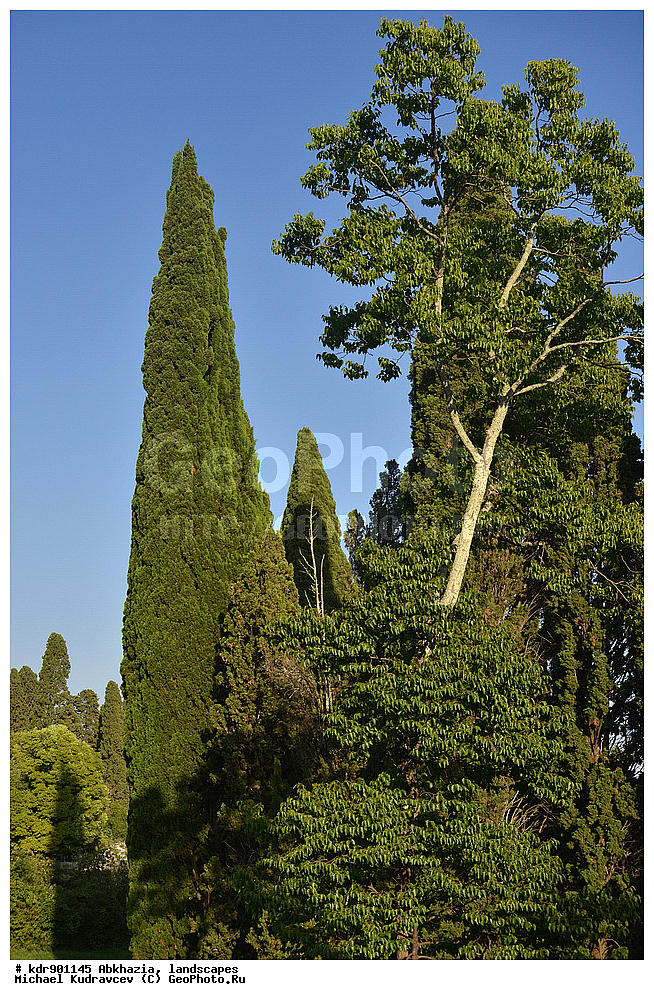 �������, ������