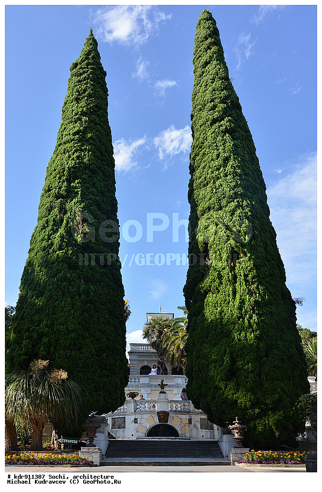 ������, ����, �����������